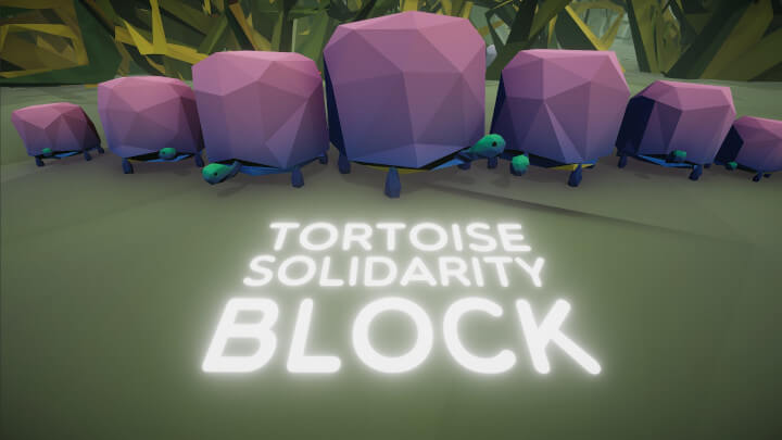 Tortoise Solidarity Block