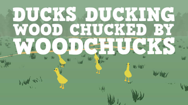 Ducks Ducking Wood Chucked By Woodchucks
